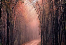 雄鹿新援临危受命，终结“垃圾时间”阴霾，球队迎来稳定之光