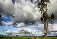 斯图加特客场失利，战绩低迷难以扭转