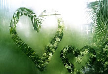 风雨飘摇的“大观”:内部矛盾浮现,球员心态如何安放?