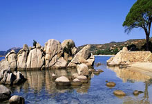 风雨飘摇下的快船：伤病侵袭，阵容重塑，涅槃之火能否再燃？