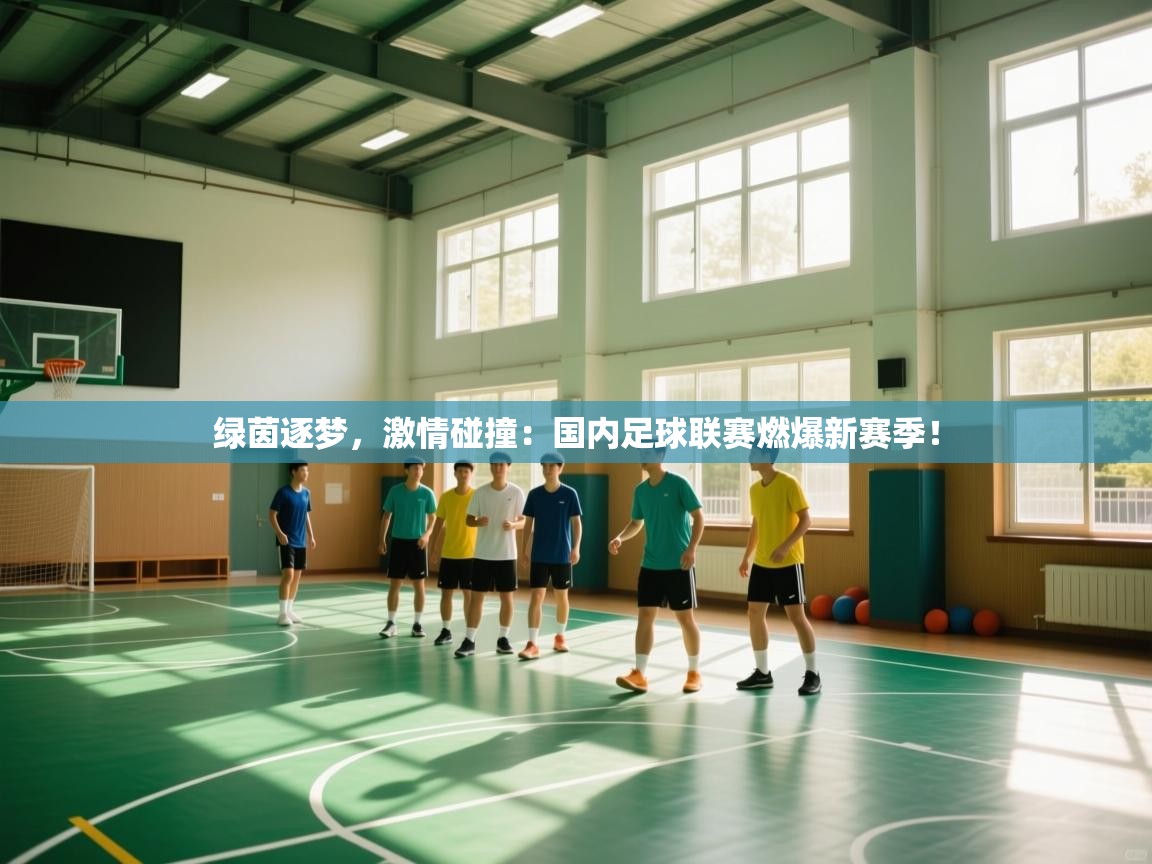 绿茵逐梦,激情碰撞:国内足球联赛燃爆新赛季! 第2张