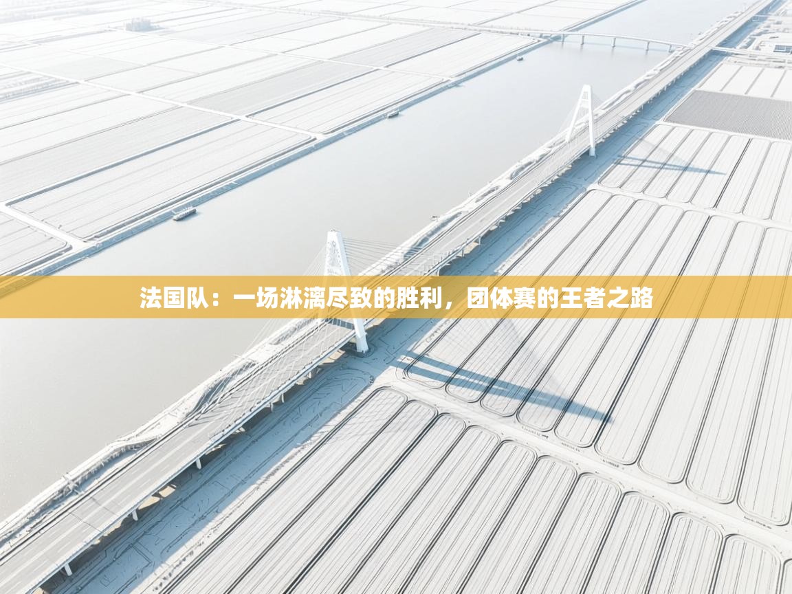 法国队:一场淋漓尽致的胜利,团体赛的王者之路 第2张